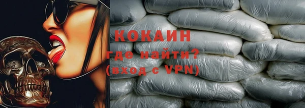 гидра Покачи