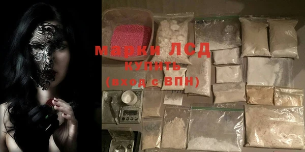 гидра Покачи