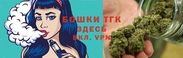 гидра Покачи