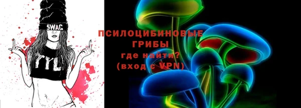 гидра Покачи