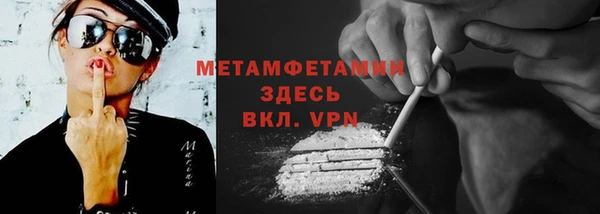 гидра Покачи
