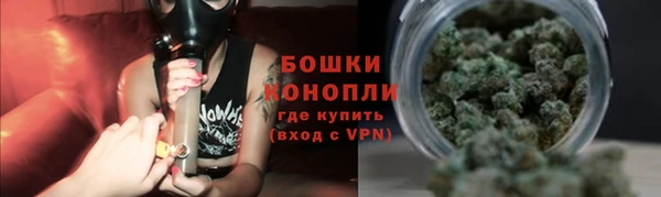 шишки Чегем