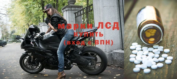 гидра Покачи