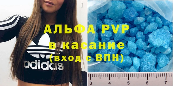 гидра Покачи