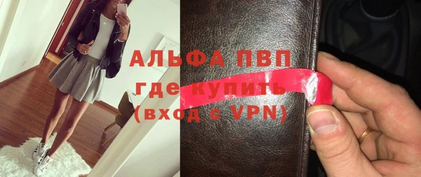 гидра Покачи