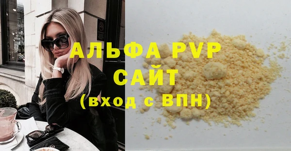 гидра Покачи