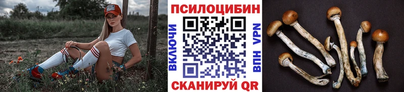 Псилоцибиновые грибы мицелий  Усмань 